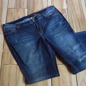 NWT Size 24 Lane Bryant Distressed Denim Jeans